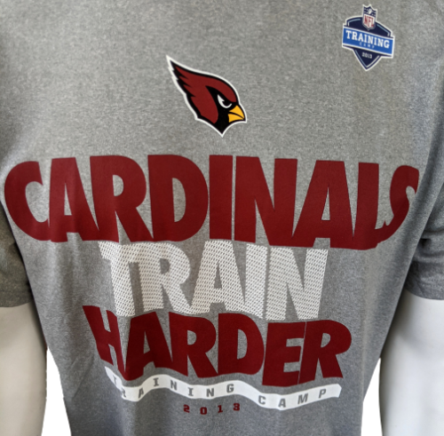 Nike Dri-Fit Men's NFL Arizona Cardinals Train Harder Training Camp 20 –  Surplus Select