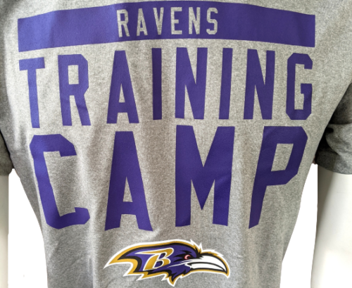 Nike Dri-Fit Men's Baltimore Ravens Training Camp NFL Gray Shirt Size –  Surplus Select