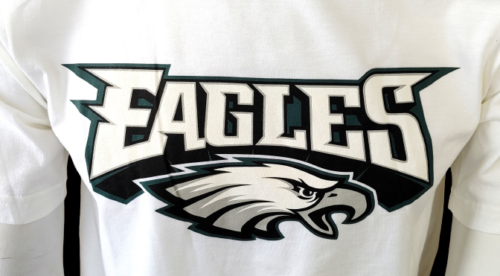 Nike NFL Team Apparel Men's Dri-Fit Philadelphia Eagles Gray Shirt Siz –  Surplus Select