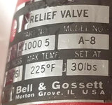 Bell & Gossett 480 ASME Relief Valve 30psi 3/4" Inlet W/ 110190 B-38 Valve