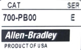 Allen-Bradley 700DC-P000Z24 DC Control Relay 700DC Type P Ser E NEMA P600