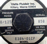 Watts Fluidair R384-01CP Miniature Regulator 0/125 PSI Pressure Range 300 PSIG