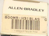 New Allen Bradley  800MR-H31BLAS  2-Position Key Switch Series C